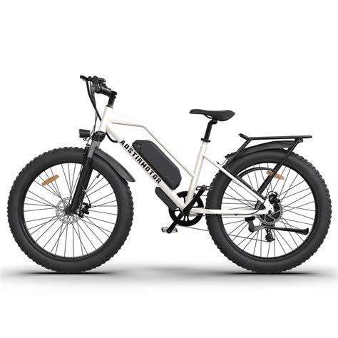 Aostirmotor 750w Electric Bike